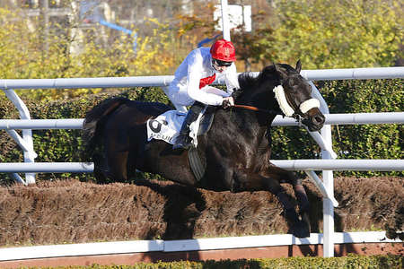 Actualités Hippiques